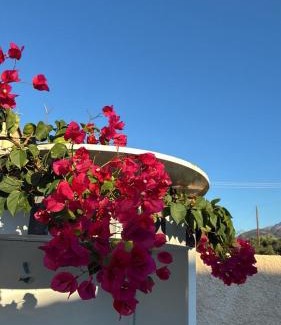 Rio House | no.21house. Α Beach house in Rio,Patras