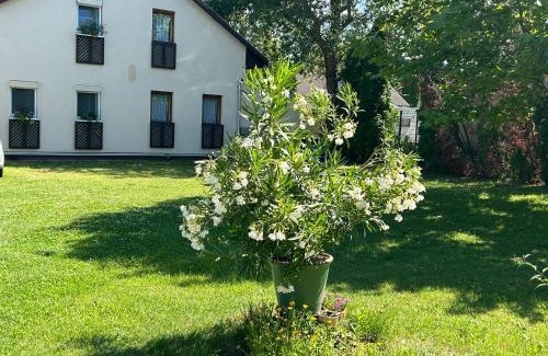 Siofok Aranypart Apartment | Noemi89 Apartman