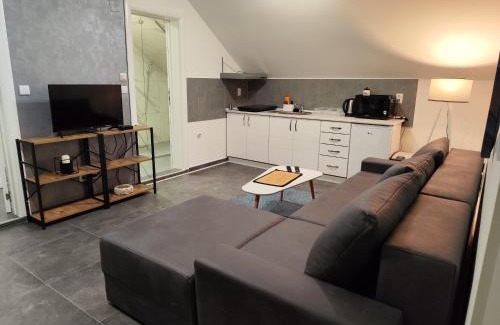 Zemun Apartment | Nomad apartments