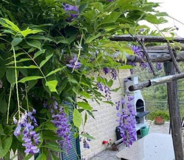 Casarza Ligure House | Nonno Paco Vacanze