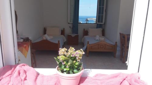 Paliki Apartment | North Paradise