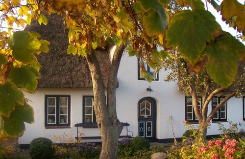 Midlum House | North Sea - Dream vacation in a Frisian house with thatched roof, whether single, couple, family