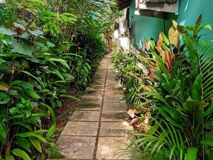 Anjuna Hotel | NostalgicGoa Homestay & Shared Accomodation