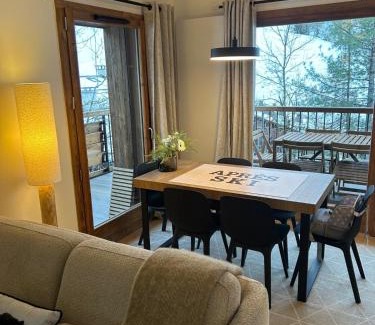 Le Grand-Bornand Apartment | NOUVEAU appartement neuf 4 à 6 personnes dans la station du Chinaillon, Grand-Bornand