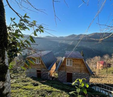 Ayder Apartment | Nozona Villa-Dağ Evleri