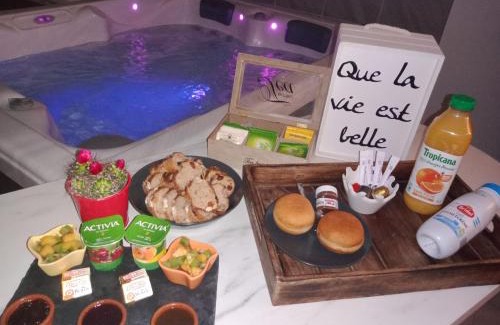 Auterive Apartment | Nuit romantique avec Jacuzzi SPA privatif proche TOULOUSE