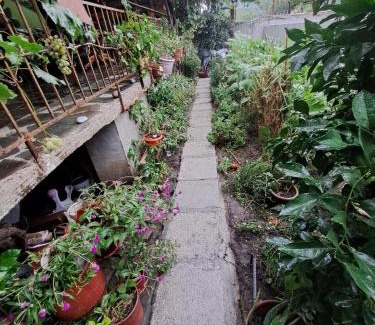 Permet House | Nurka