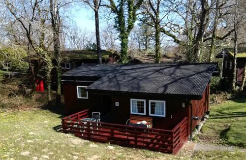 Cenarth House | Nuthatch Lodge is set in 24 acres of wood, parkland near the village of Cenarth