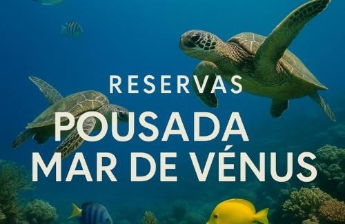 Floresta Velha Apartment | O pairaiso em mar de vênus