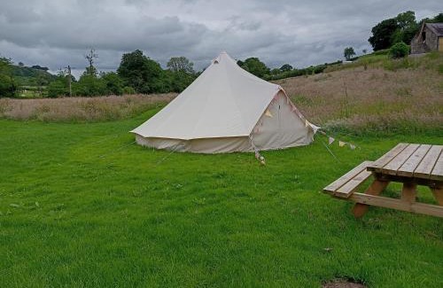 Pentrefelin Other | Oak Tree Farm
