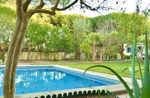 Los Gallos-Cerromolino Ski Chalet | Oasis de Tranquilidad y Brisa Marina