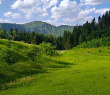 Zlatibor House | Oaza mira Zlatarsko jezero