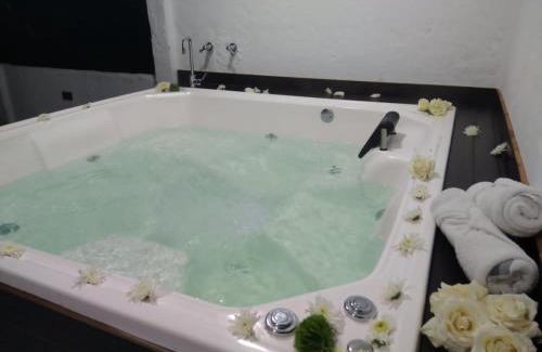 Pitalito Hotel | oBeja negra Muki