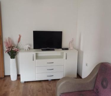 Vrnjacka Banja Apartment | Obradovic Privatan Smeštaj