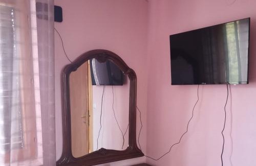 Vrnjacka Banja Apartment | Obradovic Privatan Smeštaj