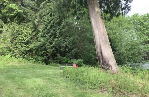Port Angeles RV Rental | Ocean View Tent Site T3