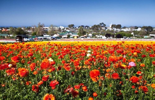 Carlsbad Apartment | Ocean Views, Across The Street From Beach, Private Patio
