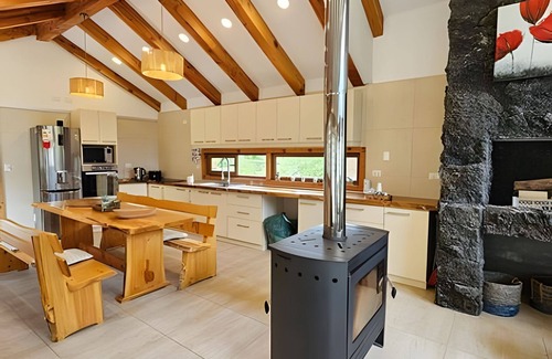 Pucon House | Oceana Suites Vista Quelhue