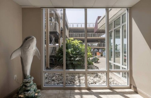 Northeast Virginia Beach Condo | Oceanfront 3-BR boardwalk condo w indoor pool!