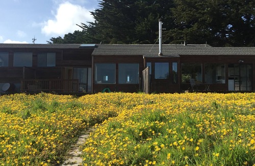 Gualala House | Oceanfront House With Panoramic Views Of The Water And Private Beach Access