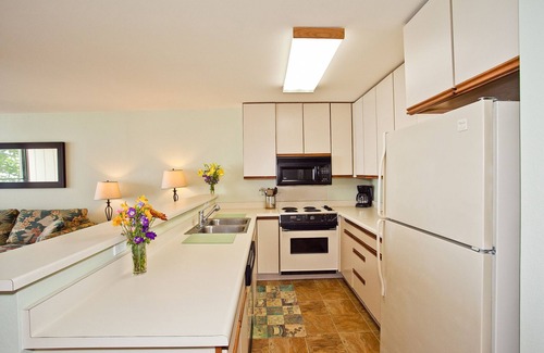 Wailua House Lots Condo | Oceanfront on Kauai starting at $140/night!