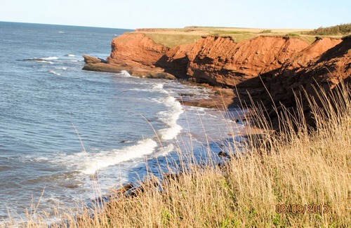 French River Cottage | Oceanfront Situated with access to beach