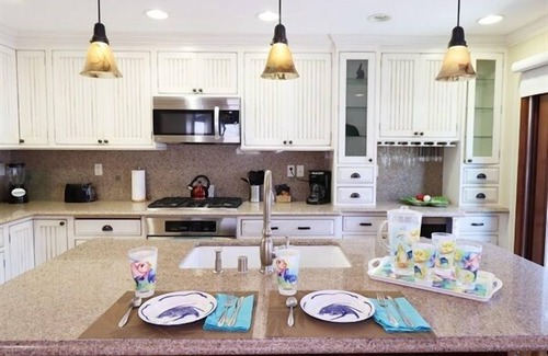 West Newport House | OceanView Newly RenovatedPark4CarsEVChrDisney25Min