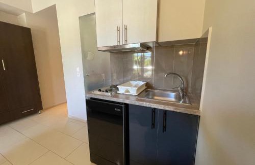 Vassiliki Apartment | Octopus