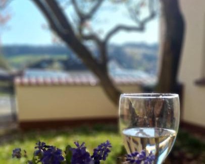 Erbach Apartment | Odenwald Heaven