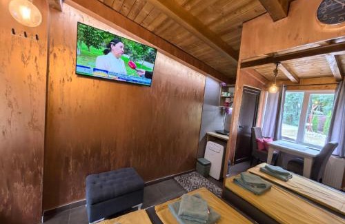 Central Serbia Apartment | Odmaraliste Kod Mice Apartman 5
