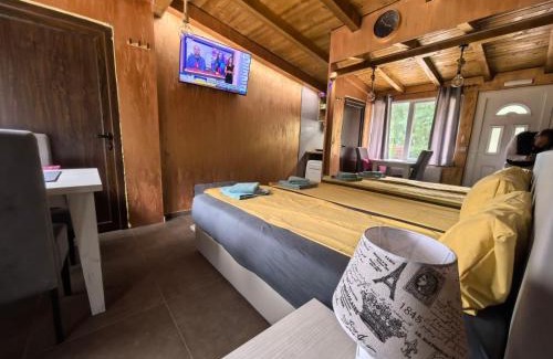 Central Serbia Apartment | Odmaraliste Kod Mice Apartman 5