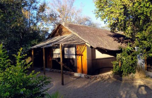 Hoedspruit Cabin | Off Beat Safaris Bush Lodge