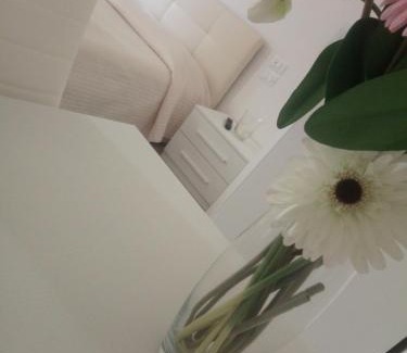 San Benedetto del Tronto Bed & Breakfast | Officina Urban Sleep
