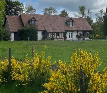 Chaumont-sur-Tharonne Bed & Breakfast | Oh ! Fleurs des champs
