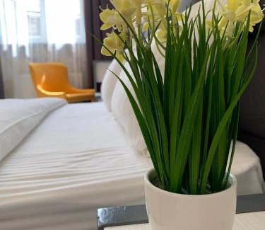 Lviv City Center Apartment | OK Apartments Nasypna