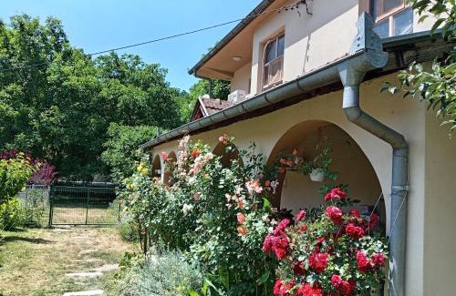 Central Serbia House | Oko Jastrepca