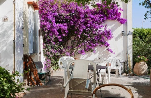 Le Brusc House | Old house on the Quai du Brusc in an enclosed garden planted with trees