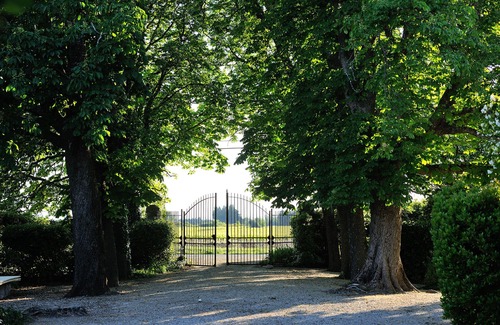 Violes House | Old renovated Bastide in the heart of the vineyards in the Odylée wine estate