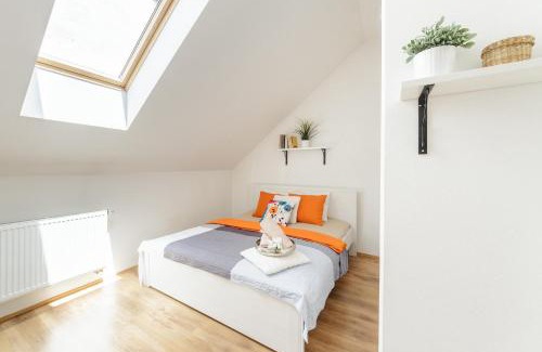 Ceske Budejovice Apartment | Old Town Charles Apartments
