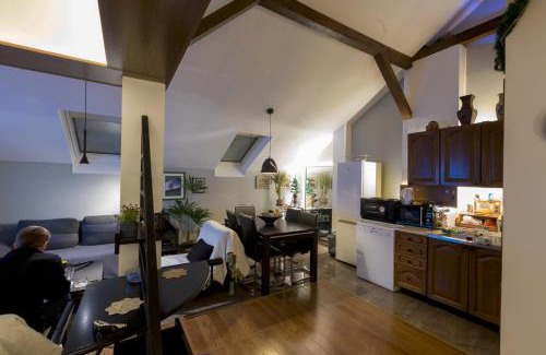 Dorcol Apartment | Oldest House Belgrade center