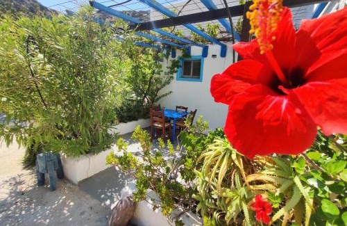 Ferma Apartment | Oleander's Garden Traditional Cretan Cottage