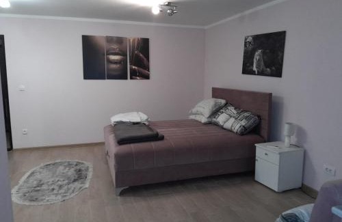 Stari Banovci Apartment | Olimpic Apartmani BG
