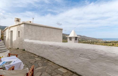 Andros Town Apartment | Olive Guesthouse Junior