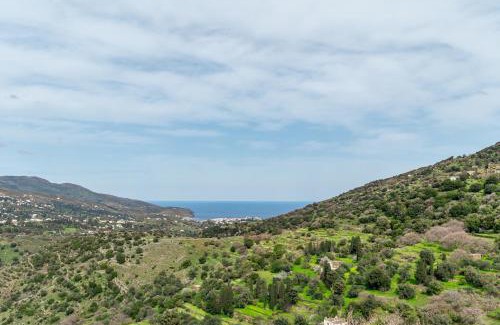 Andros Town Apartment | Olive Guesthouse Junior