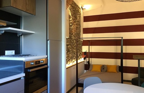 Manarola Apartment | OLIVE HOUSE Cinque Terre