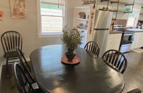 Asheville Cottage | Olive House w/Wet Room Near Asheville & Biltmore - Clean and Pup-friendly!
