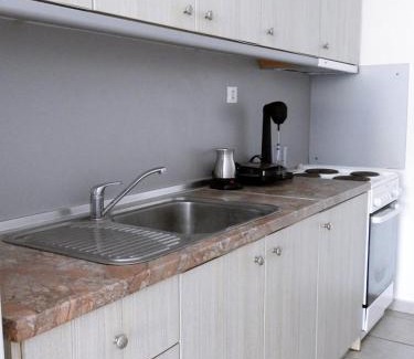Metagkitsi House | Olive Tree Apartment M