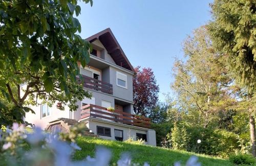Banostor Apartment | OLOR Apartman 2 - Banoštor
