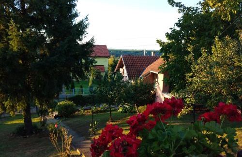 Banostor Apartment | OLOR Apartman 2 - Banoštor