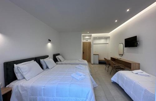 Archaia Olympia Hotel | Olympian Altis Hotel